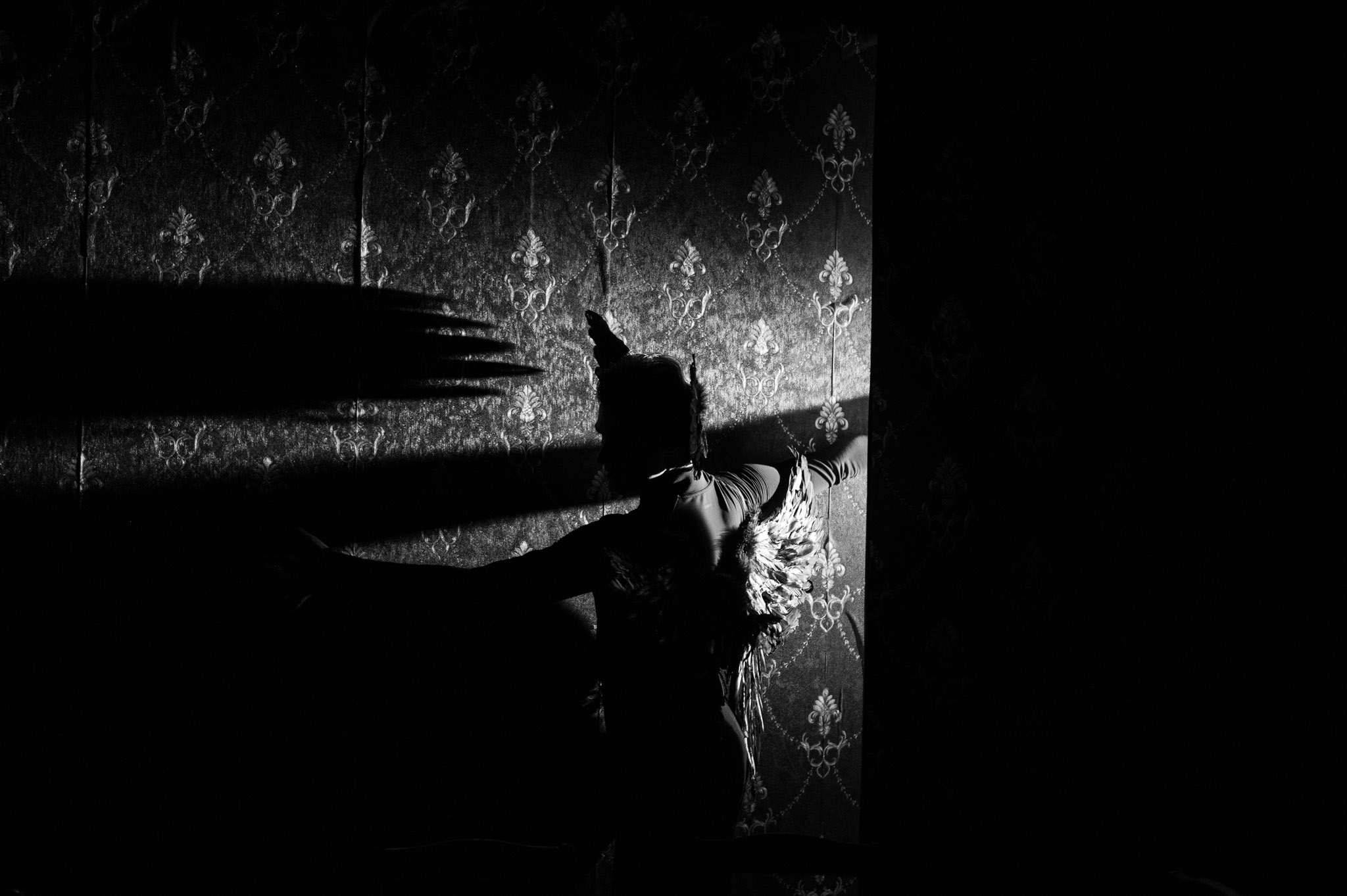 DSC 2814OSTROV MŔTVYCH BARA PODOLA